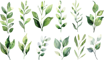 Fototapeta premium Set of green watercolor leaves on isolated background. Green leaf branches collection. Watercolor floral set. Leaf branches for greetings, fashion, eucalyptus, olive, cloth, print, invitation, card