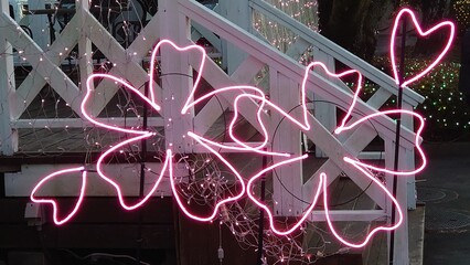 I want to see the illuminations

