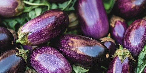 Eggplant available for sale to customers seeking fresh produce. This eggplant is perfect for various culinary uses, offering health benefits and vibrant color that enhances any dish.