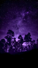 Naklejka premium Purple Night Sky Shines Over Silhouetted Trees in a Serene Forest Setting with Stars Twinkling