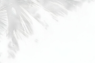 Obraz premium White Feather Close-up Creates a Soft, Delicate Background with Elegant Texture