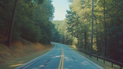 Fototapeta premium Winding road through lush forest, sunlight dappled; nature travel