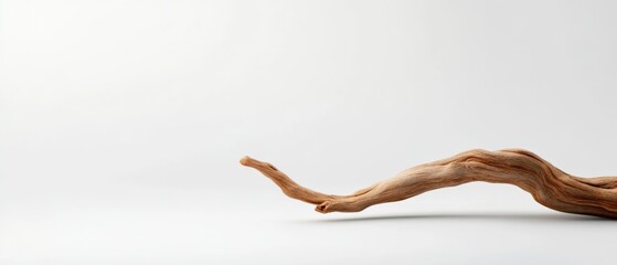 piece of driftwood on a white background