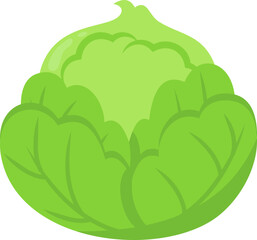 Vegetable Illustration