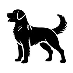 Majestic Labrador Silhouette: A striking black silhouette of a Labrador Retriever, standing proudly with its tongue out, showcasing its loyal and friendly nature.