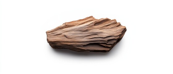 piece of driftwood isolated on white background