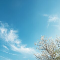 A tranquil spring scene featuring a clear blue sky with wispy clouds and a blossoming tree branch.
