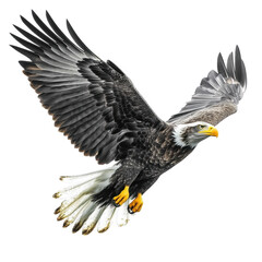 Obraz premium Majestic eagle soaring with outstretched wings, showcasing powerful feathers and sharp beak, symbolizing freedom and strength