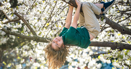 Kid climbing cherry blossom tree upside down. Happy childhood. Kids face near spring park. Kid...