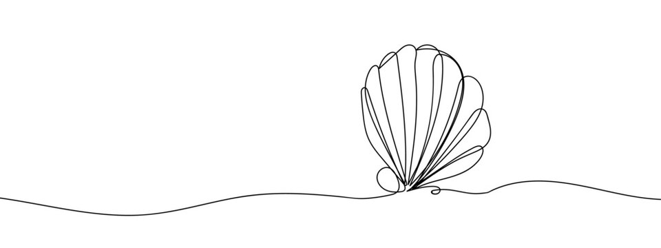 Whole Scallops line art vector illustration with transparent background editable stroke.
