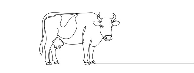 Full-length dairy cow for the agricultural industry line art vector illustration with transparent background editable stroke.