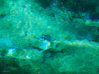 Water springing from the emerald green ground