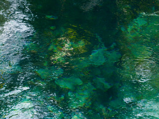 Water springing from the emerald green ground