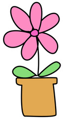 flower in a pot