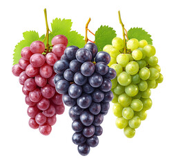 Fototapeta premium Red, blue, and green grapes clustered together png isolated on transparent background
