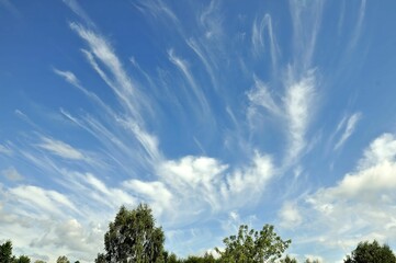 Obraz premium Stunning Cirrus Cloudscape: A Breathtaking Display of Nature's