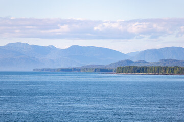 Alaskan coastline filled with lodgepole pines
