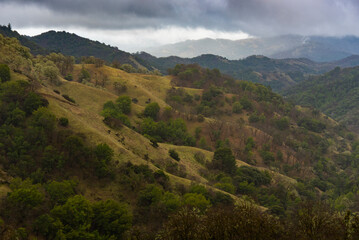 Naklejka premium Spring Mountain Landscape in Mendocino