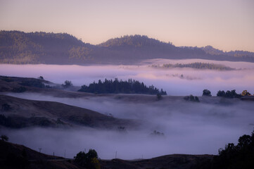 Misty Mountain Dawn with Cool Hues