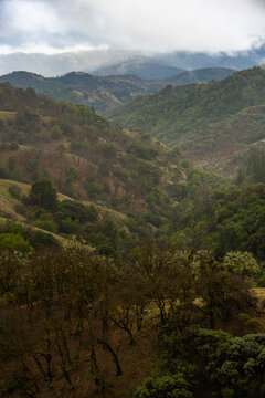 Winter weather in the Hills