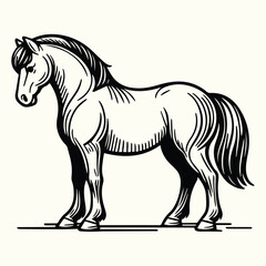 Horse Drawing Black and White Coloring Page