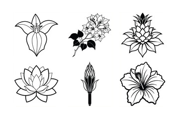 Silhouette Vector Bundle of Pineapple Lily, Tropical Water Lily, Bougainvillea, Sea Hibiscus, Bat Flower, and Torch Lily