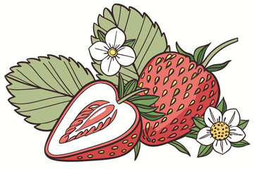 Strawberries, realistic illustration, vibrant red, detailed texture, yellow seeds, green leaves, cross-section view, juicy fruit, botanical art, clean white background, fresh produce, vector style, di