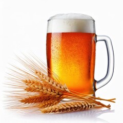 glass of beer isolated