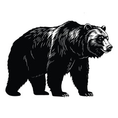 Bear  black silhouette animals Vector Illustrator with white background 
