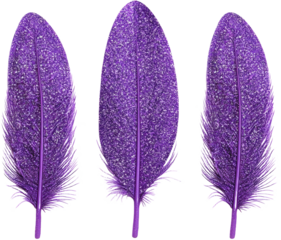purple shiny glitter feather