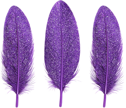purple shiny glitter feather 
