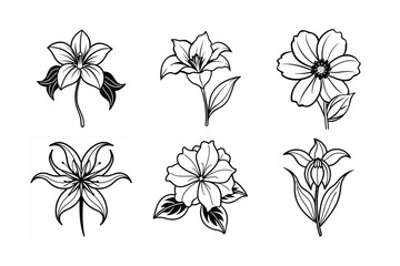 Silhouette Vector Bundle of Chocolate, Spider Lily, Fritillaria, Canna Lily, Balloon Flower, and Plumbago