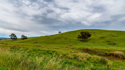 Fototapeta premium Rural scenery between Cudgegong and Mudgee on a road trip enjoying the countryside in the Central West of NSW, Australia.