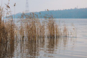 Gasoline or oil stain spill water pollution. Industrial oil fuel stain spill water pollution. Ecological disaster. Oil film pollution. Water pollution with oil, gasoline