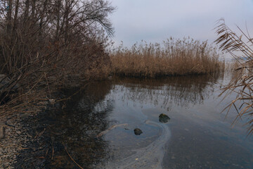 Gasoline or oil stain spill water pollution. Industrial oil fuel stain spill water pollution. Ecological disaster. Oil film pollution. Water pollution with oil, gasoline