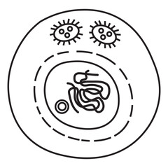 Interphase line icon