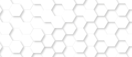 Abstract surface tech bee website science element grid overlay white hexagon futuristic technology geometric texture background.