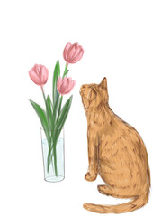 my cat is looking at my flower