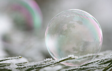 A soap bubble shimmers in rainbow colors against a grey background. There is space for text