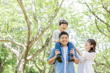 家族　親子　新緑の公園
