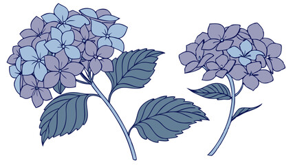 Blue-Purple Hydrangea Watercolor Illustration for Wedding Designs. Perfect for: Weddings, Spring