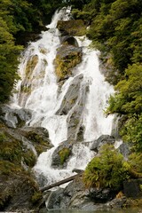 The Beautiful Fantail Falls in New Zealand