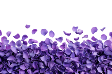 PNG Rose petals purple background flower.