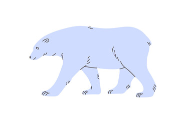 Cute big white bear walks side view. Furry polar animal of North Pole strolls. Adorable beast of frost tundra steps, funny character of fauna of Antarctica goes. Flat isolated vector illustration