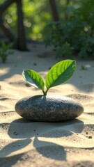zen stones in the garden