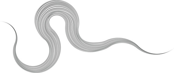 Decorative swirl of line. Intertwined curved lines .Abstract flow linear fluid shapes .Curly design element. Music sound wave . Swirl calligraphic flourish divider ornament design. Curve lines Vector 