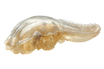 Naklejka premium Large jellyfish gliding gracefully through the ocean waters under bright sunlight on a clear day