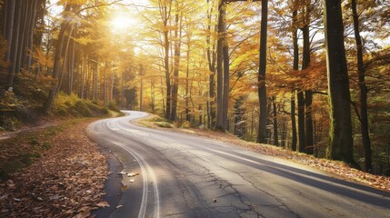 Obraz premium Curved Road Through a Sunlit Autumn Forest
