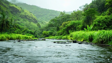 Obraz premium Peaceful river winding through a lush green valley landscape