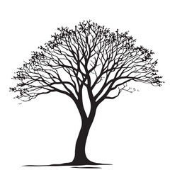 Obraz premium Bare Tree for Winter or Autumn Design